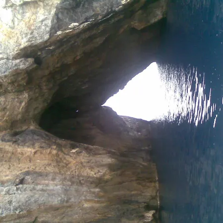 La Macchia Mediterranea *